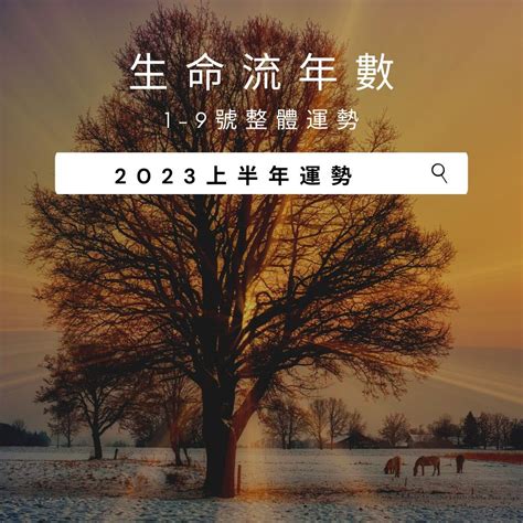 2023生命靈數流年4